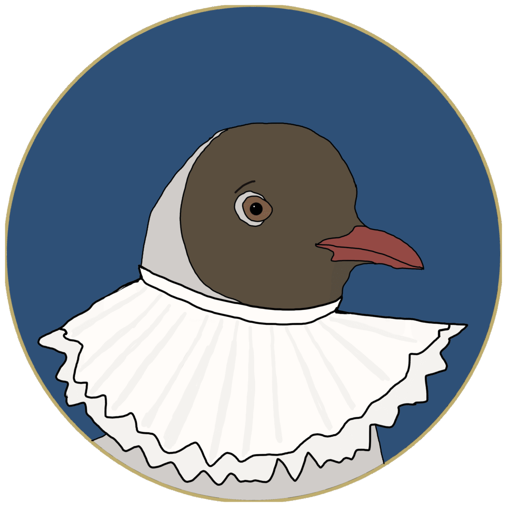 Digital illustration of a black-headed gull wearing a medieval ruffled collar