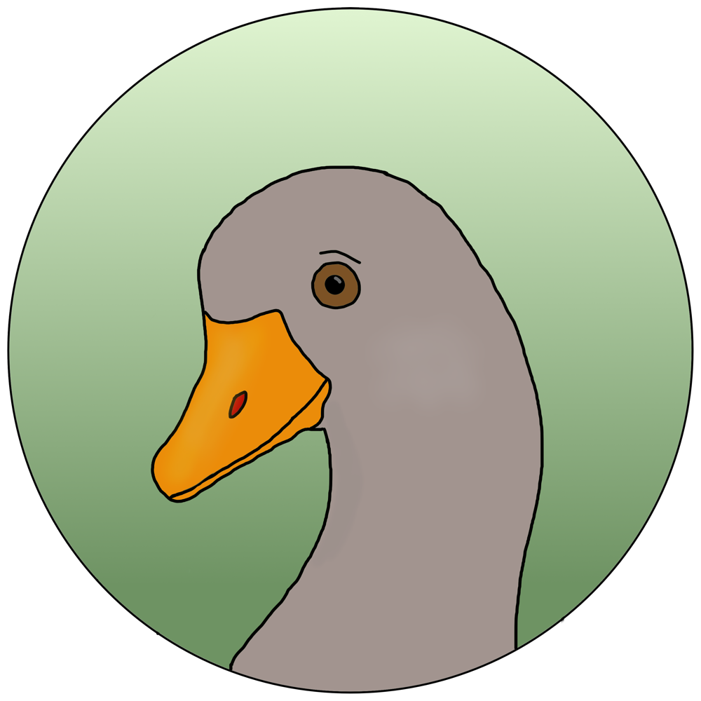 Avian Spellcaster - a Graylag Goose