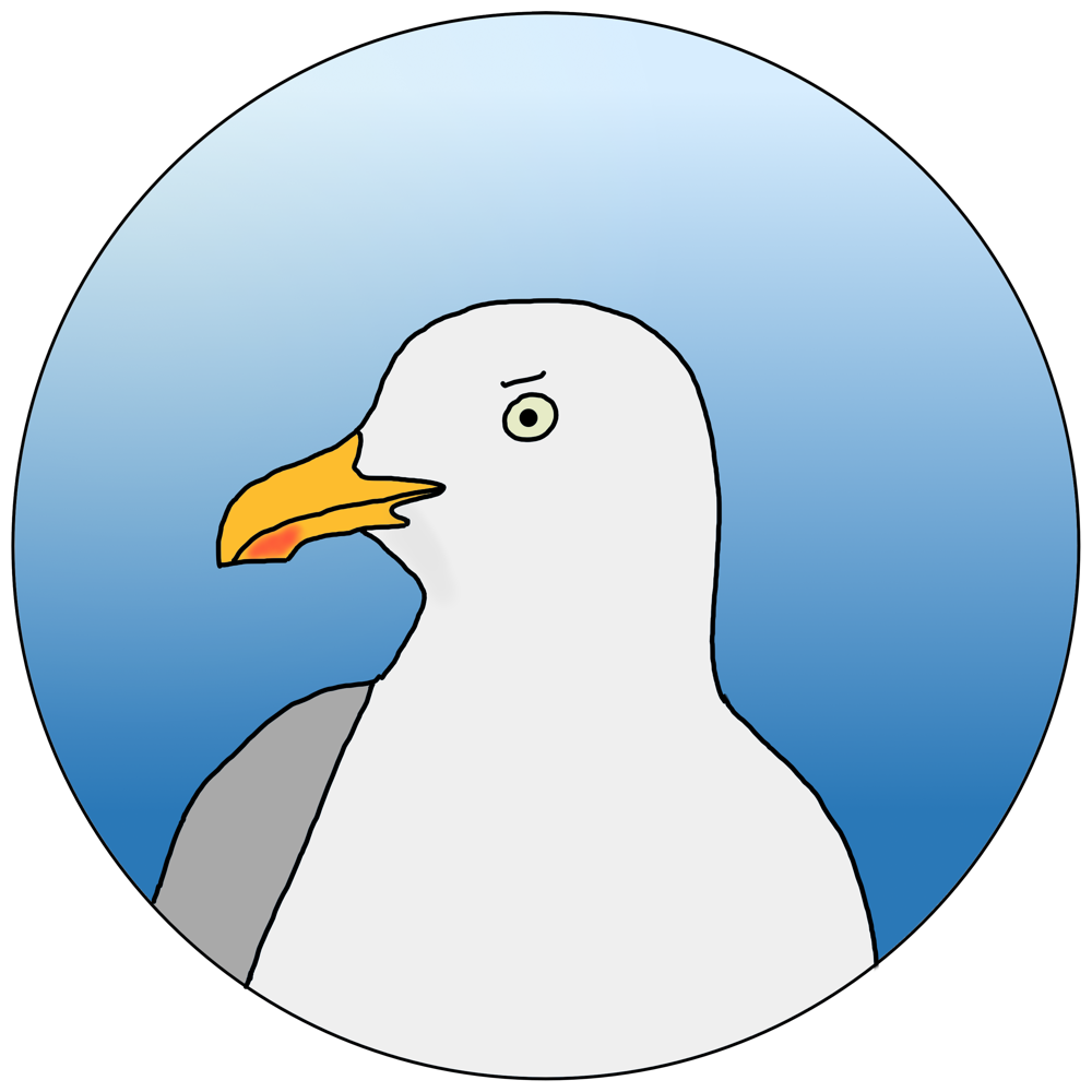 Seagull illustration used in an article exploring Latin bird names